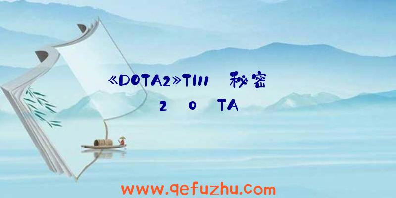 《DOTA2》TI11:秘密